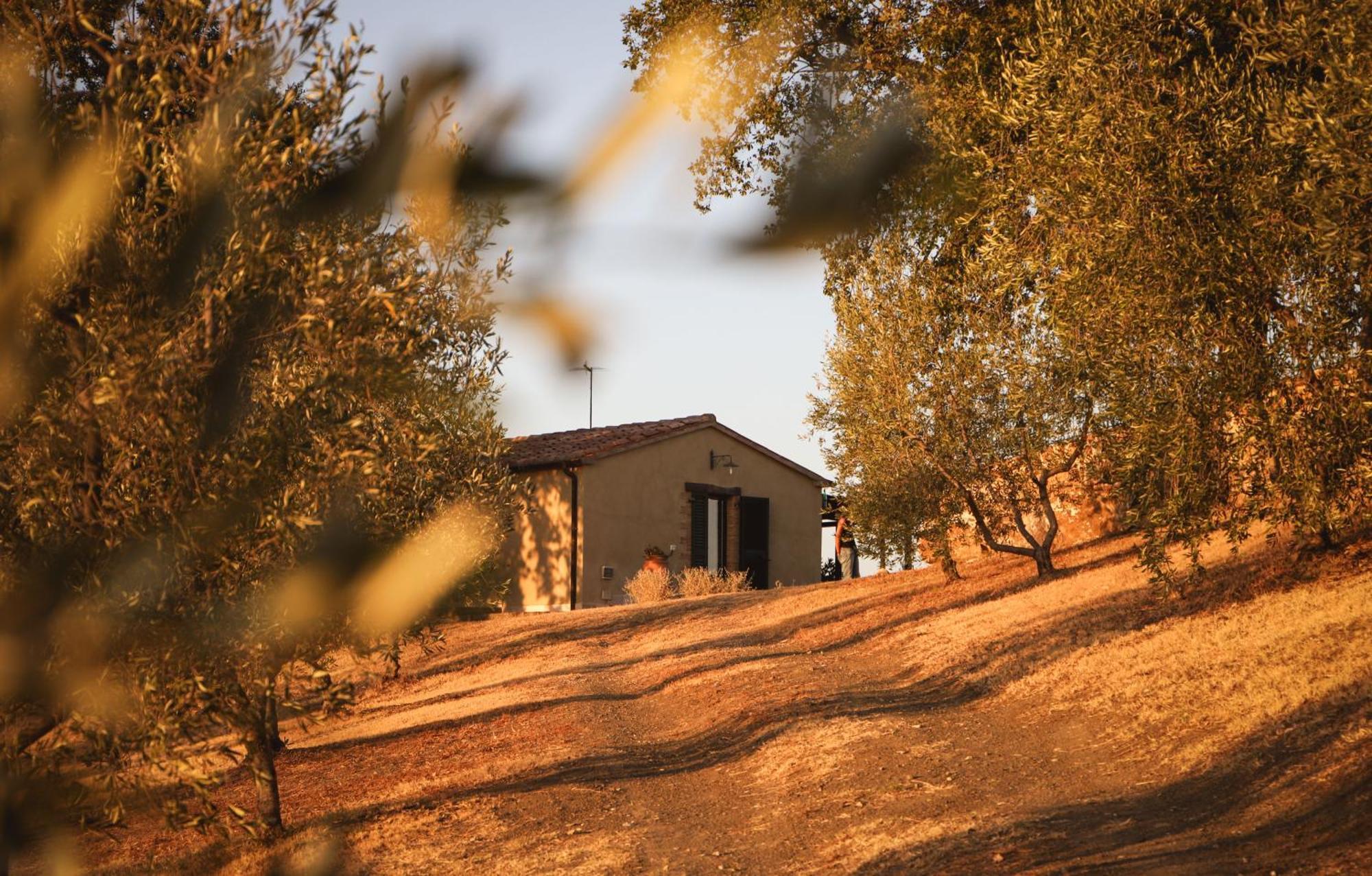 Country House Poggio Aione Casa de hóspedes Catabbio Exterior foto