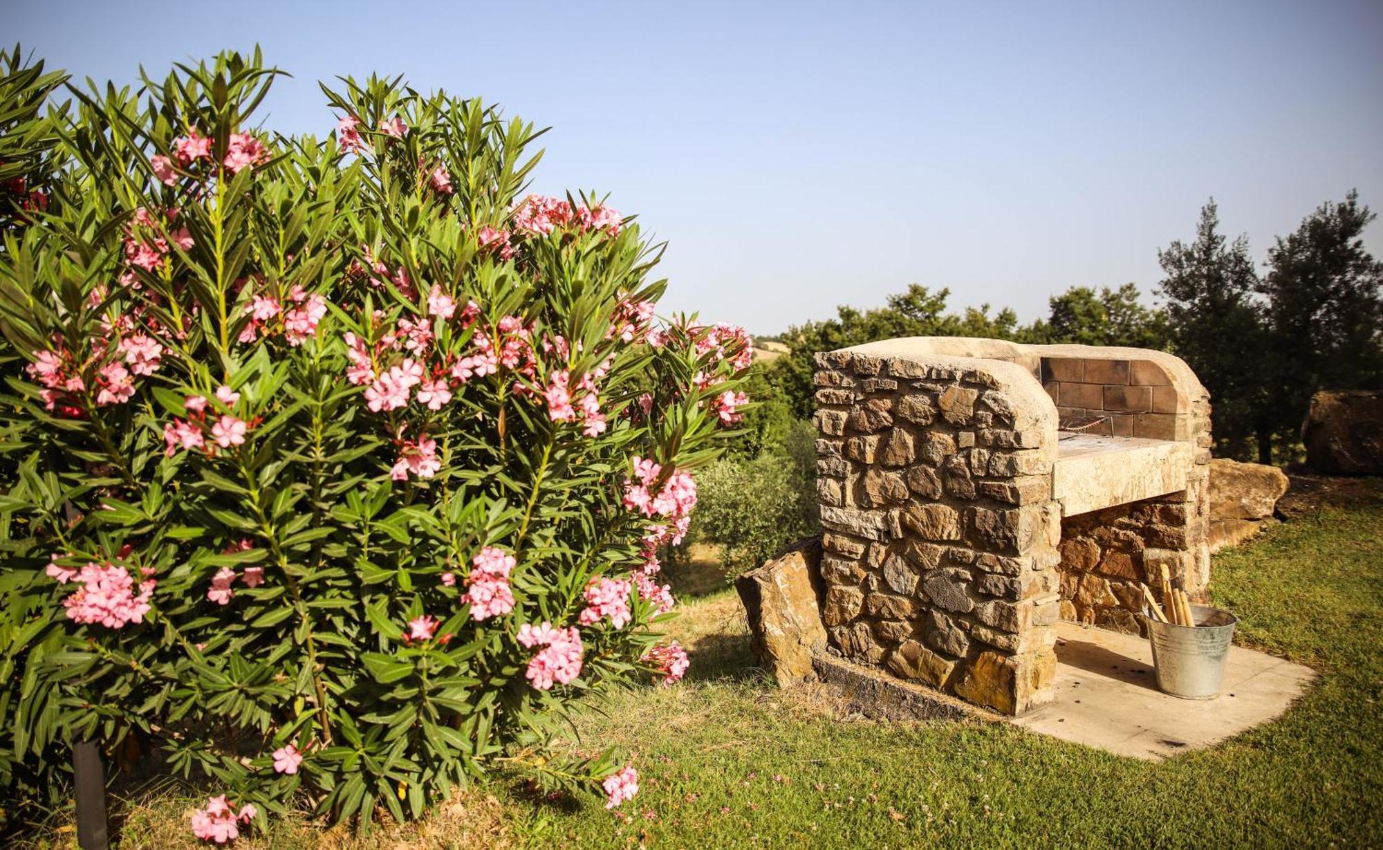 Country House Poggio Aione Casa de hóspedes Catabbio Exterior foto